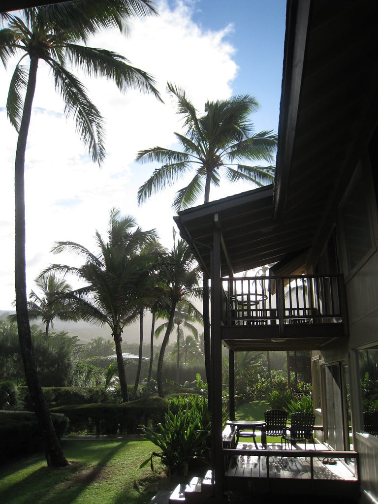 Kauai condo lanai with palm trees